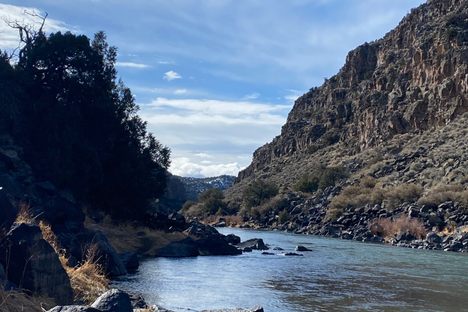 The trail on the east side of the Rio Grande looking south, near the springs.