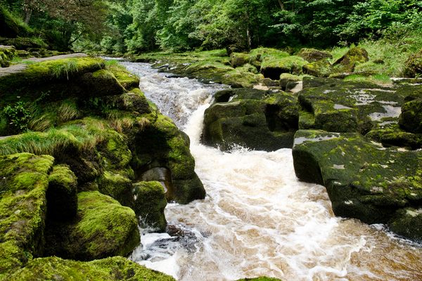 Bolton Strid