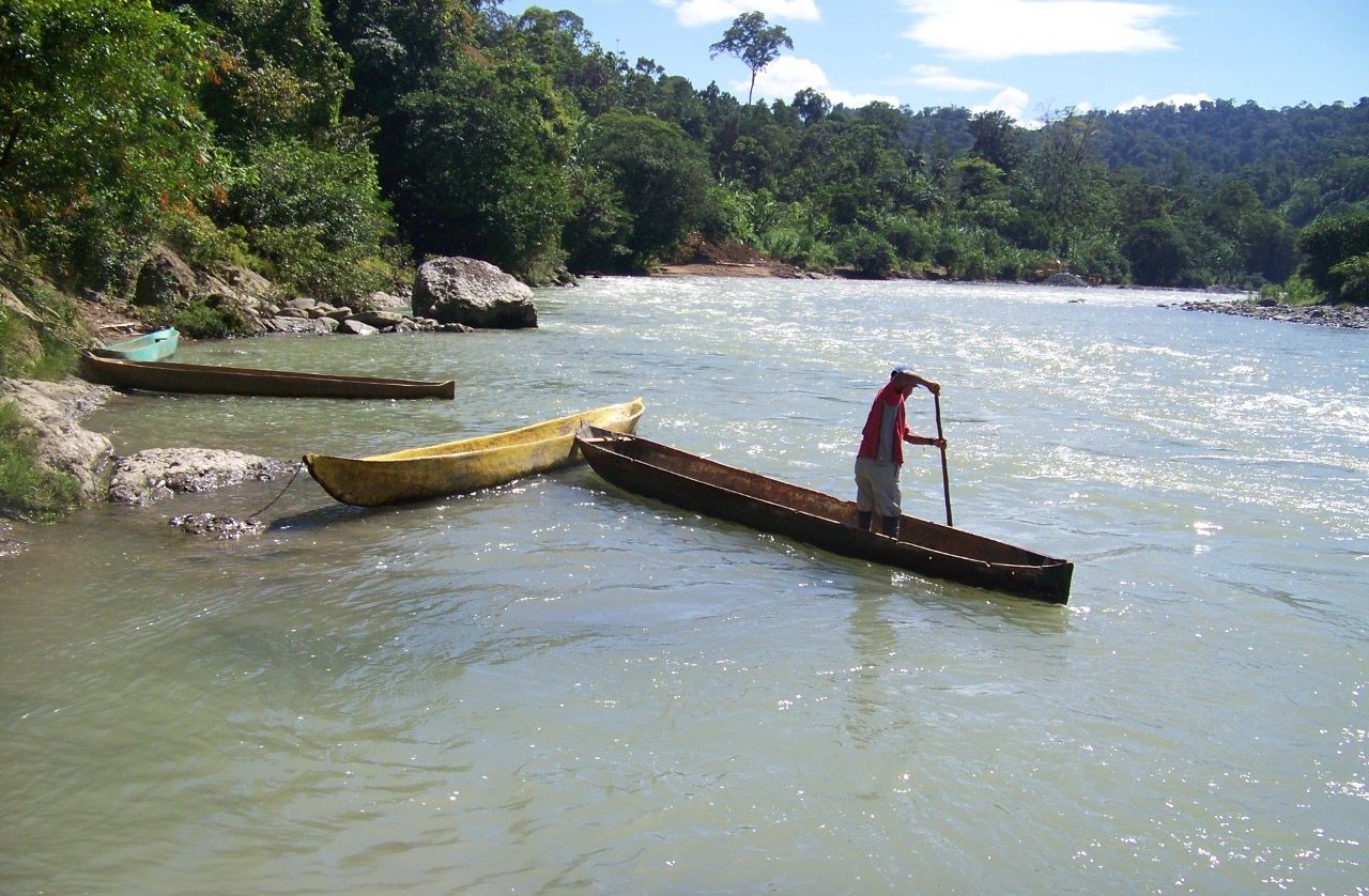 The murky, weedy Changuinola River.