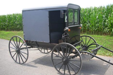 Hop in, we're going for a buggy ride.