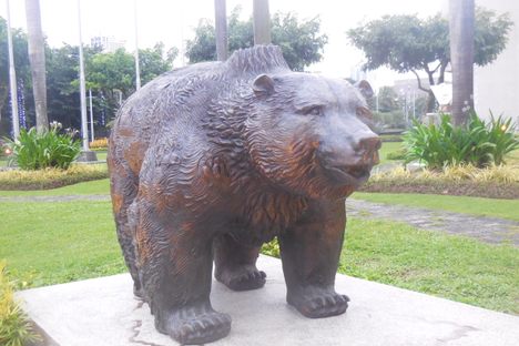 Brown bear from Russia