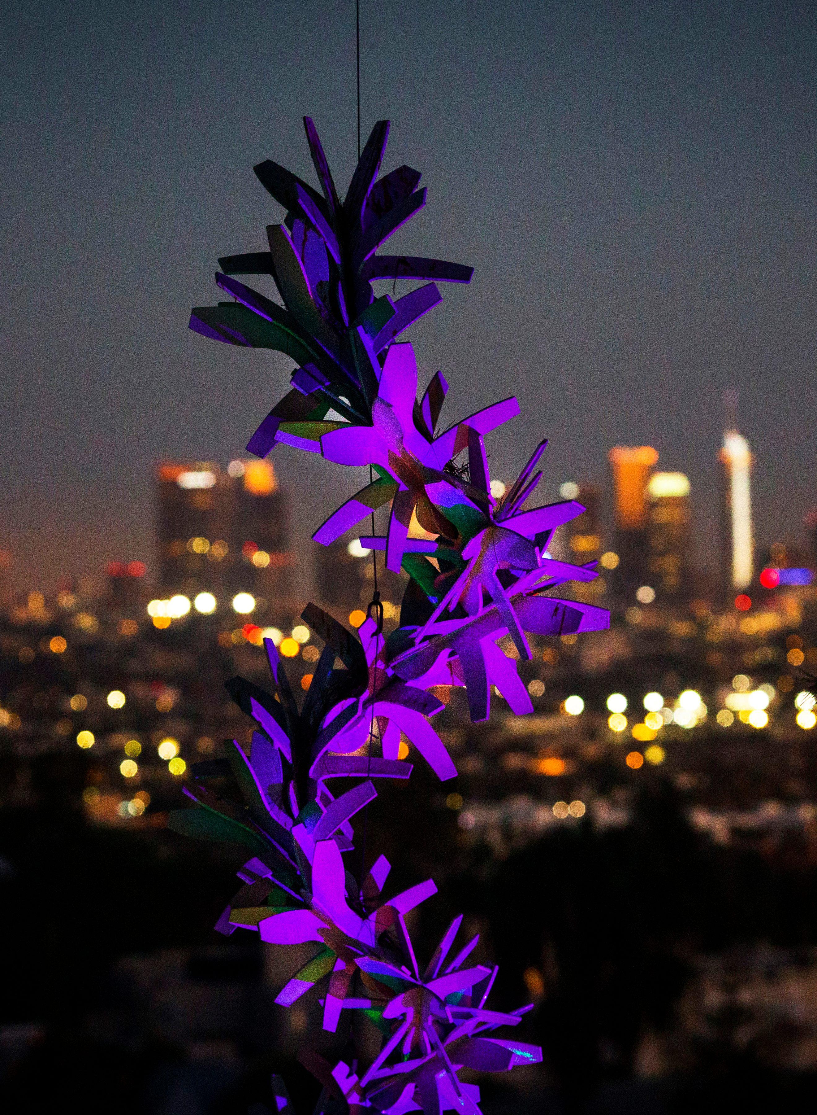 Dr. Gordon's collection plays off its organic and urban surroundings.