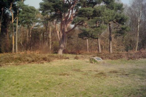 Area of Bronze age Barrows