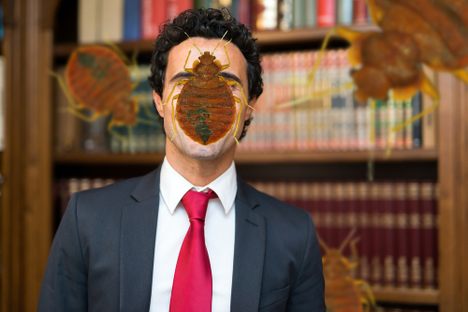 Interviewing the Country's Preeminent Bed Bug Lawyer