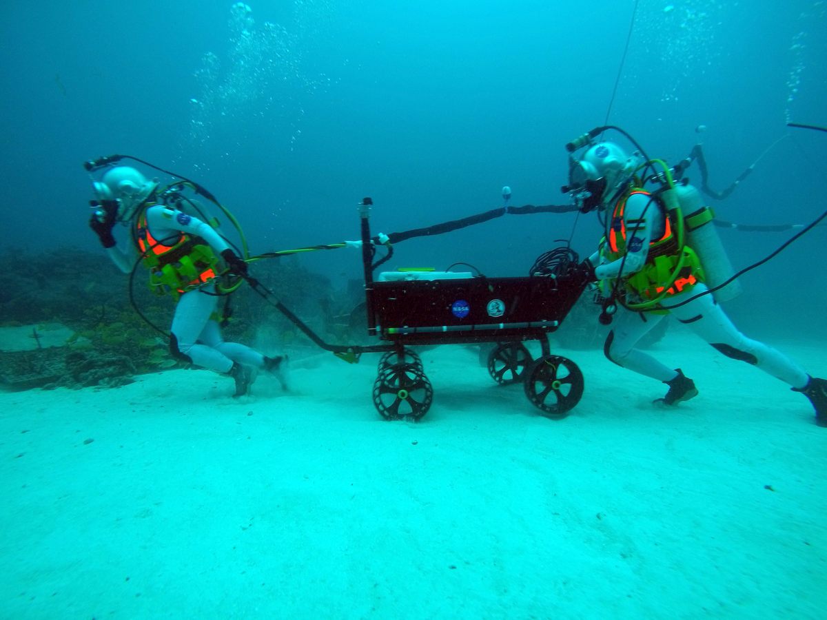 European Space Agency astronaut Samantha Cristoforetti and Csilla Ari D’Agostino haul tools from one experimental station to the next.