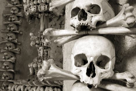 100 Wonders: The Bone Church