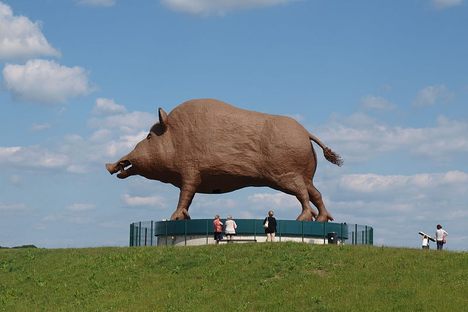 Woinic the World's Largest Boar 