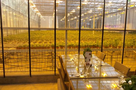 The view when you dine within the greenhouse.