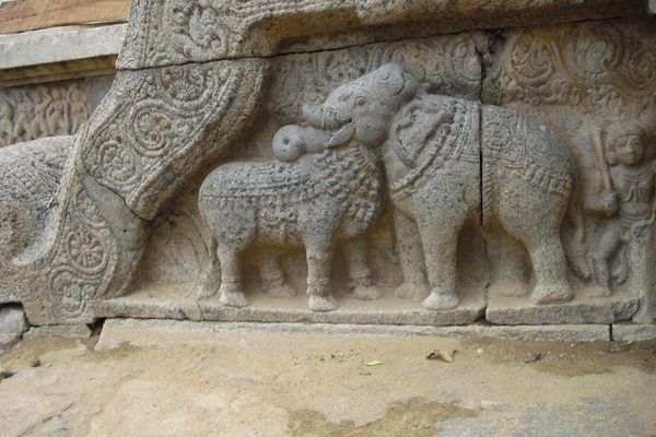 The bull and elephant illusion at Airavatesvara Temple.