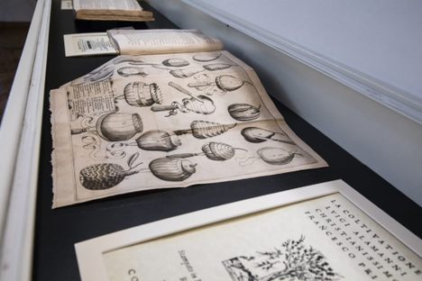 Pages with etchings from 16th-century cookery books.