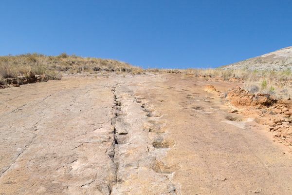 Dinosaur footprints in Torotoro National Park.