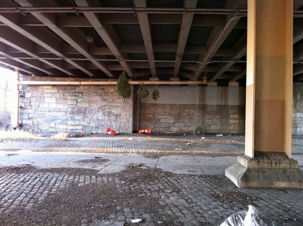 A Suspended Forest prototype, under the BQE in January 2012. 
