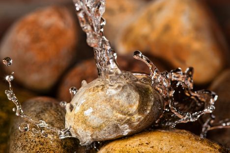Can You Taste Where Your Water is From?