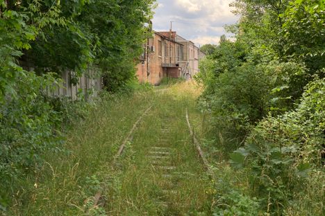 The tracks alternate between running through dense greenery and populated areas.