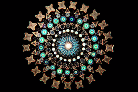Watch This Artist Create Kaleidoscope Masterpieces With Single-Celled Algae