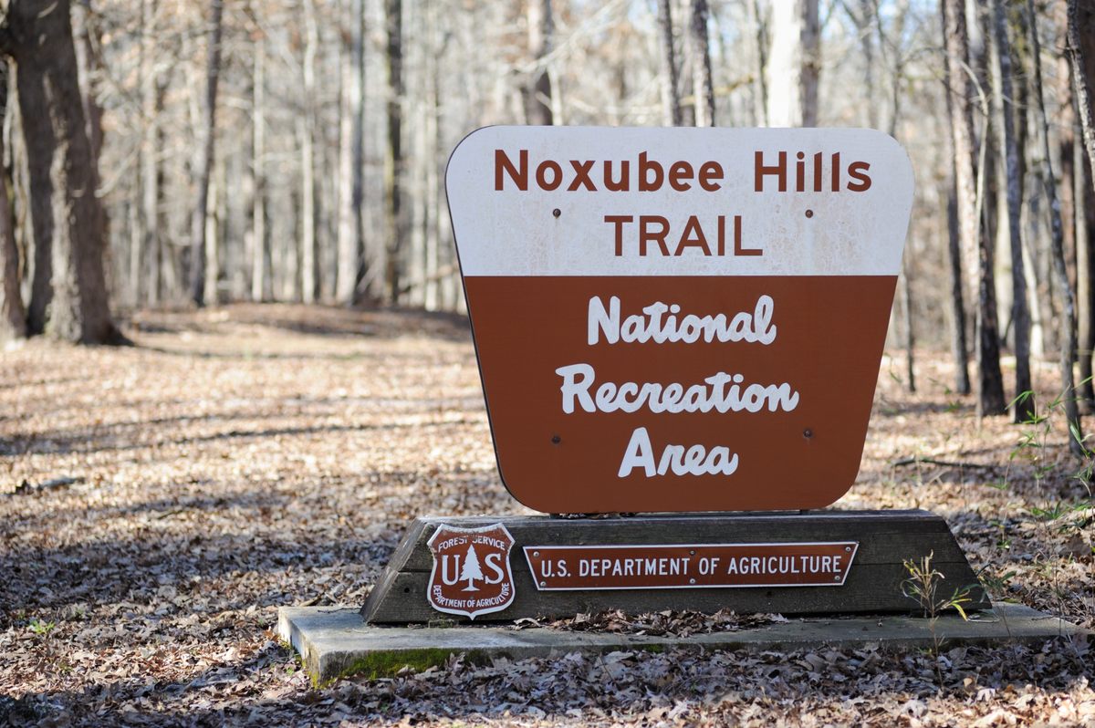 A symmetrical sign with cream-colored accent announces a trailhead at a National Recreation Area in Mississippi.