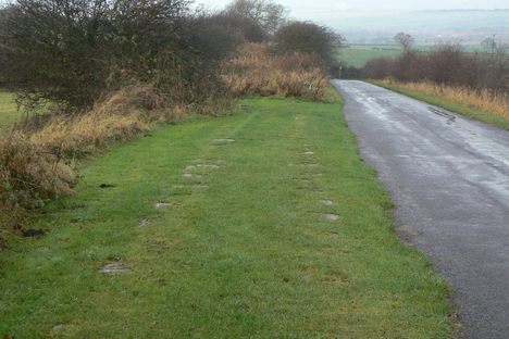 Brusselton Incline, West slope. Here the remains of stone sleepers showing through the turf.