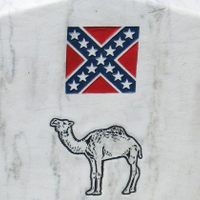 Rebels at Vicksburg Vowed Revenge Against the Yankee Who Killed Their Camel