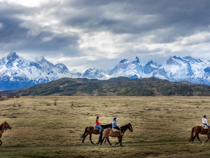 在Torres del Paine国家公园骑马