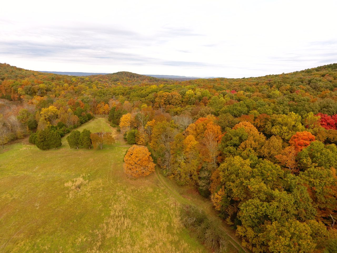 The pipeline threatens part of the Bernheim Research Forest. 