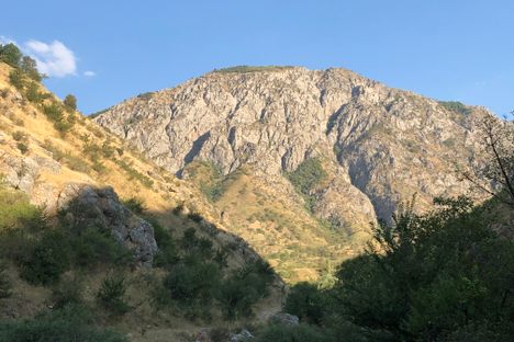 A view from the research station, up into the mountains.