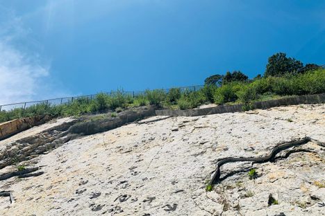 Dinosaur Ridge