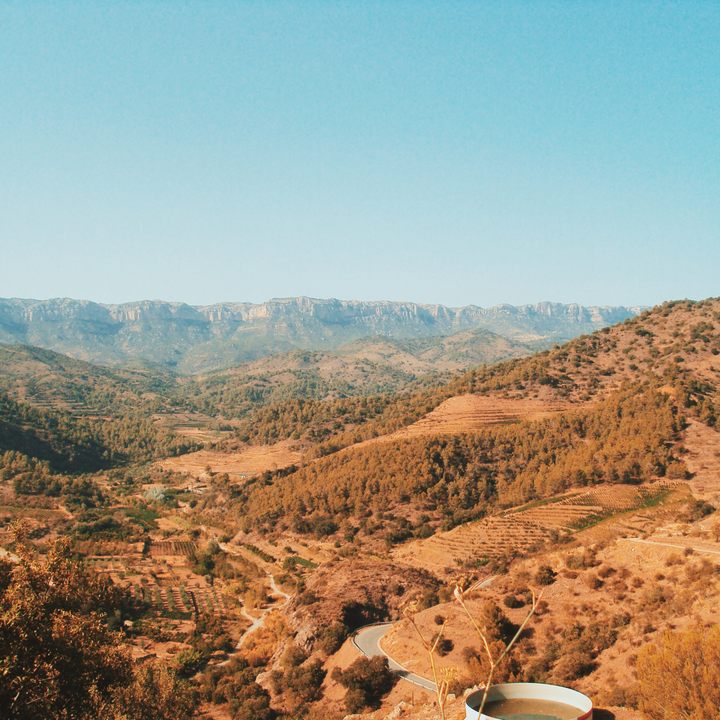 A view in Priorat.