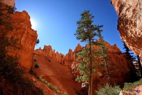 Navajo Loop