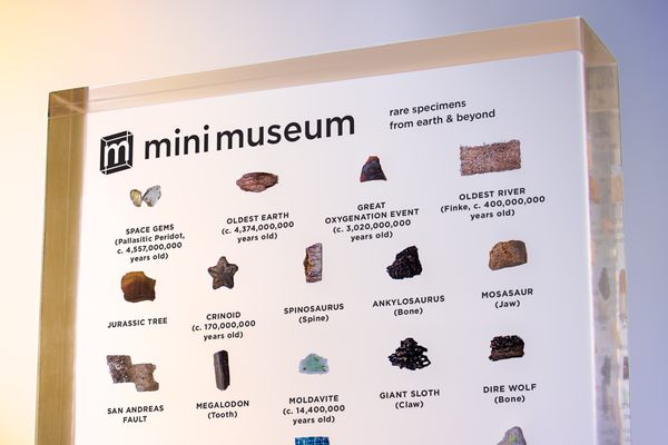 Behold the glory of the Mini Museum.