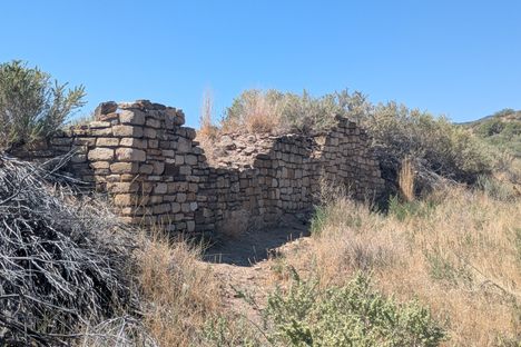 Yucca House
