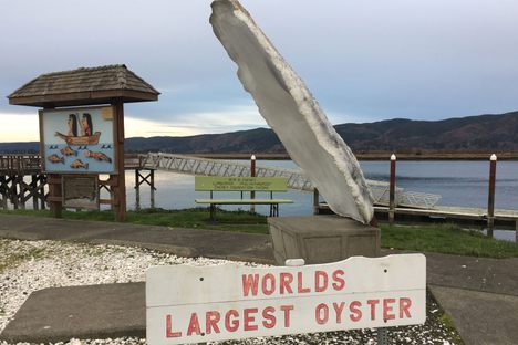 The World’s Largest Oyster