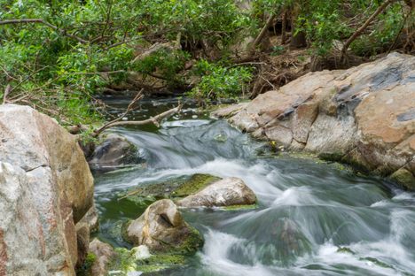 Plant-Centric Places in California