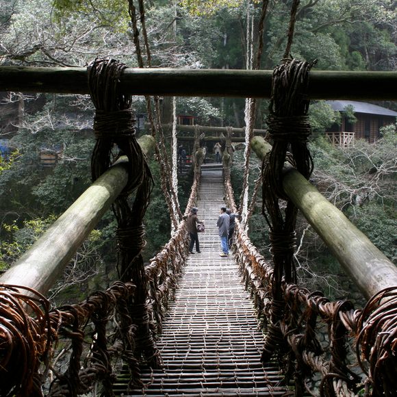 Rope Bridge Close Up Stock Photo - Download Image Now - Rope