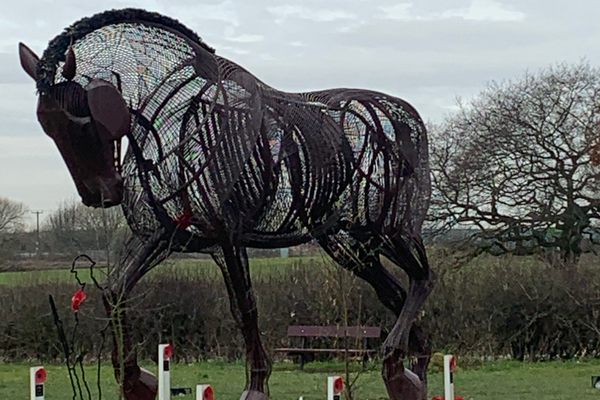 Featherstone War Horse