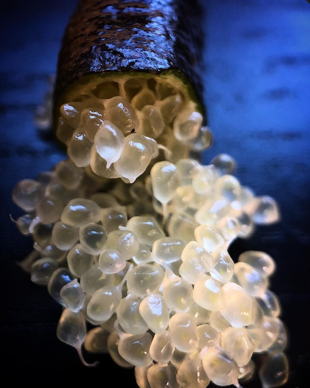 Finger limes, the caviar of the citrus world.
