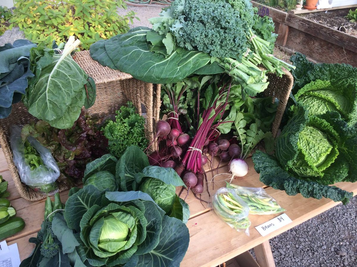 The greenhouse runs both a farm-box subscription program and sells vegetables at a weekly farmers market.