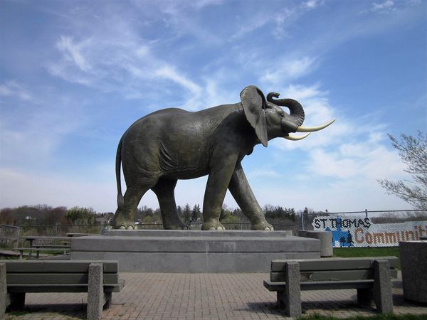 Adviseur tweedehands kiem Jumbo the Elephant – Saint Thomas, Ontario - Atlas Obscura