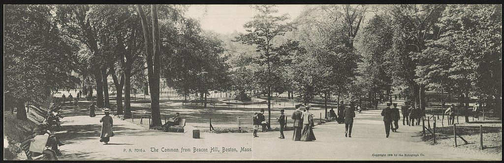 The Common from Beacon Hill, Boston, c. 1905.