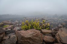 Haleakalā National Park’s summit region, shrouded in the pre-dawn fog.