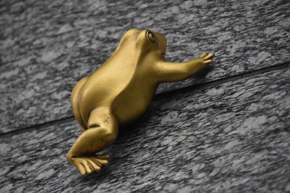 Golden Frog of Hakata Station