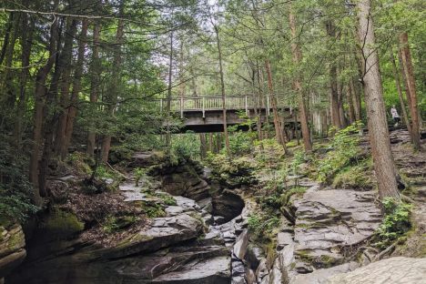 From the base of the creek 