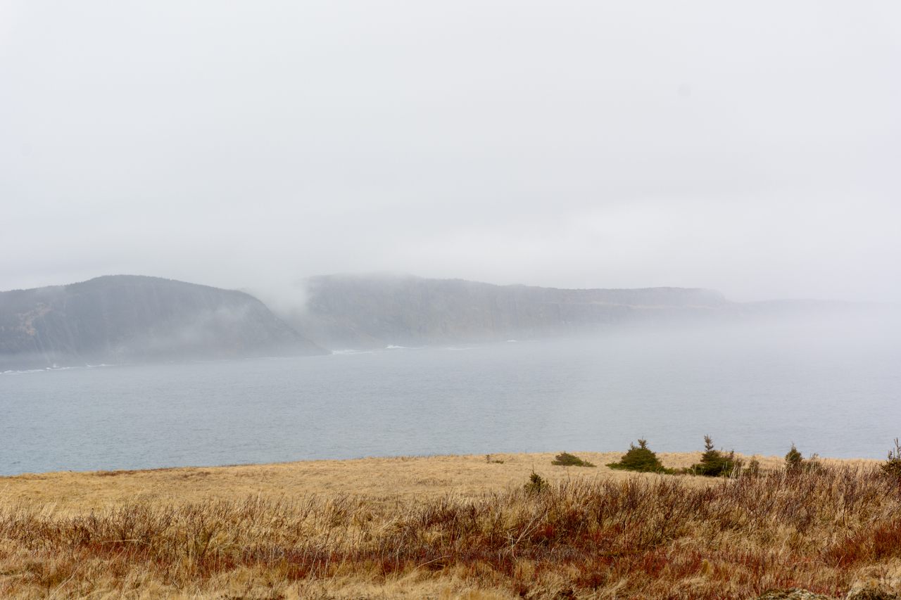 Newfoundland, known for its thick fog and beautifully stark landscape, seems a fitting locale for the mysterious 'Isle of Demons,' said to exist just off Newfoundland's northern tip.