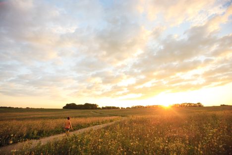 Midewin  was the first national tallgrass prairie in the United States.
