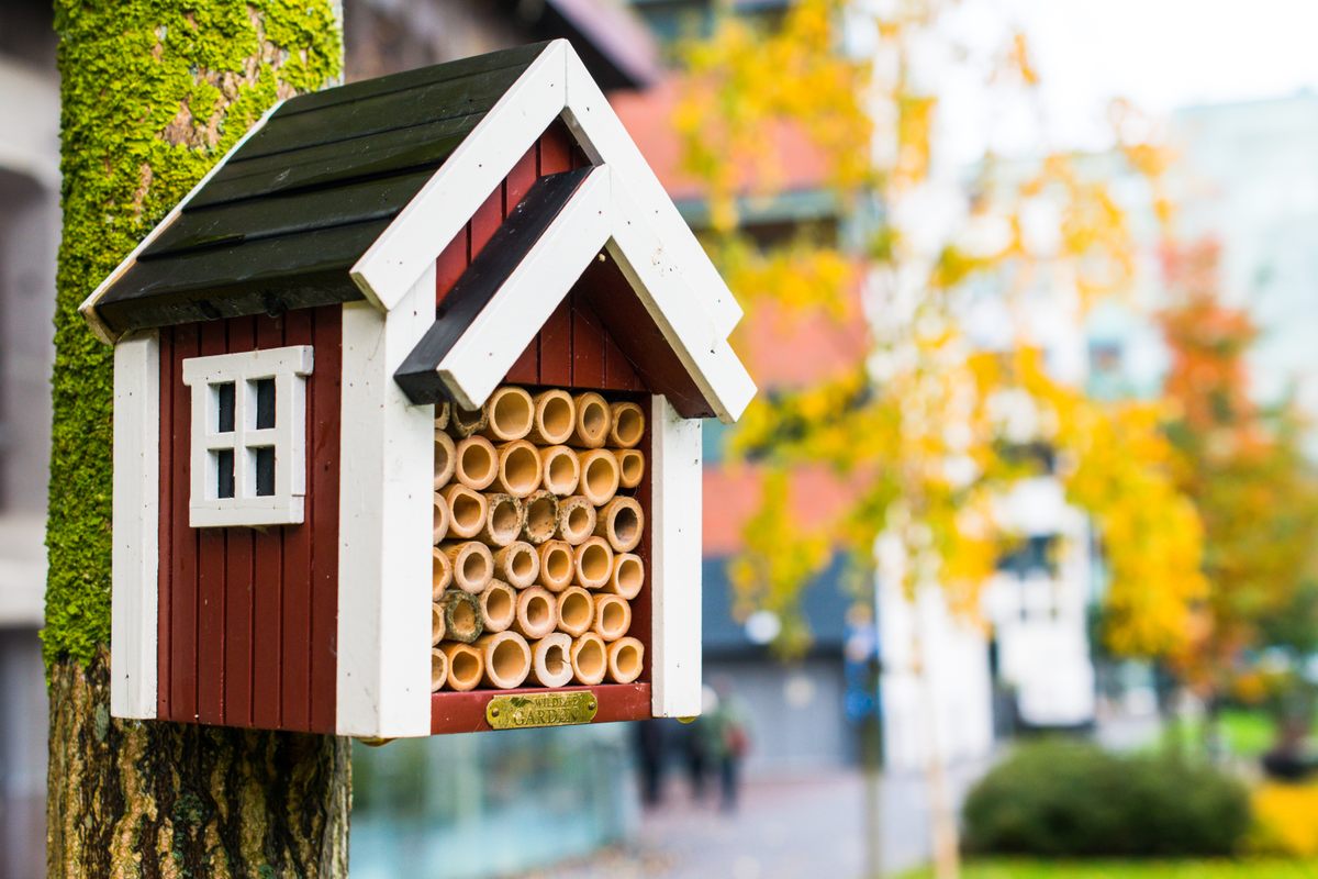 The Rubbish Whisperer - Want to make your own bee hotel for the garden?  Grab some crafting paper straws and a tin - easy! There are native bees in  ours already and