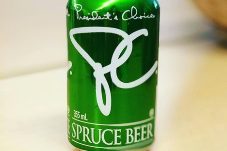 Spruce Beer
