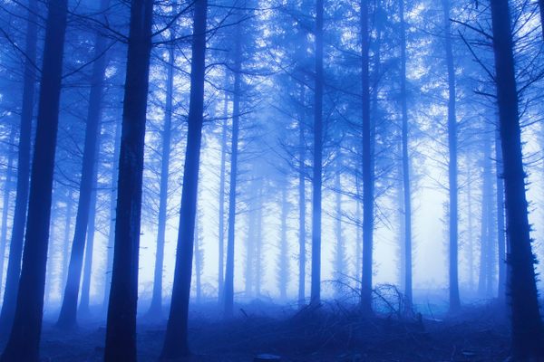 Beware the Skinwalkers, Werewolf Witches of the American Southwest - Atlas  Obscura