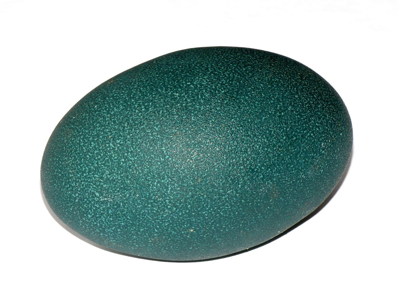 Emu eggs are elliptical, but not asymmetric.