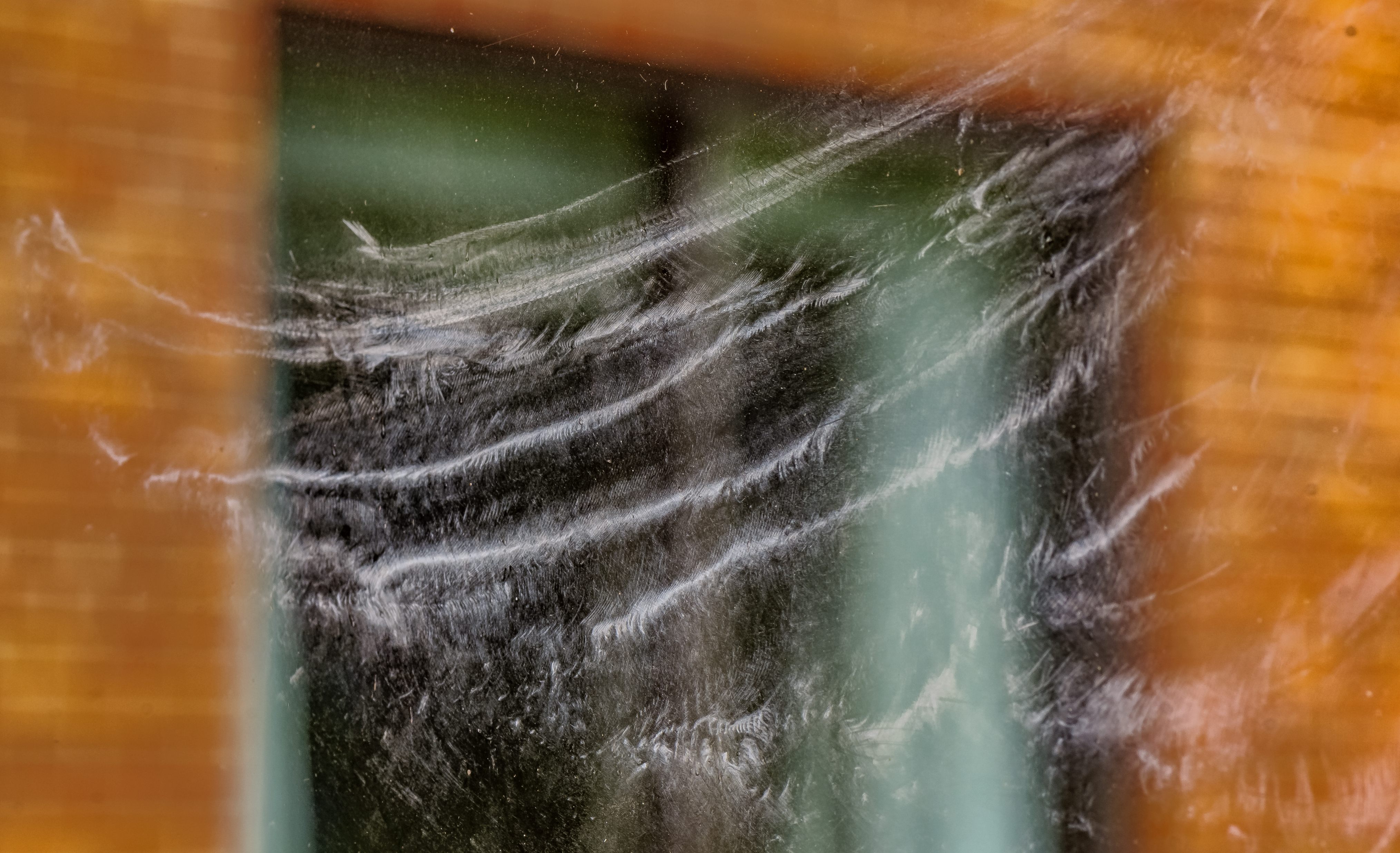 Feathery details from a bird strike photograph.