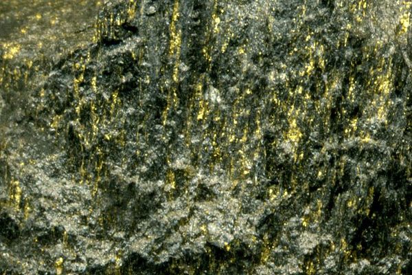 Gold ore from Witwatersrand