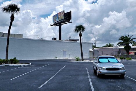 Strip-Mall Totems: The Trees of Sprawl